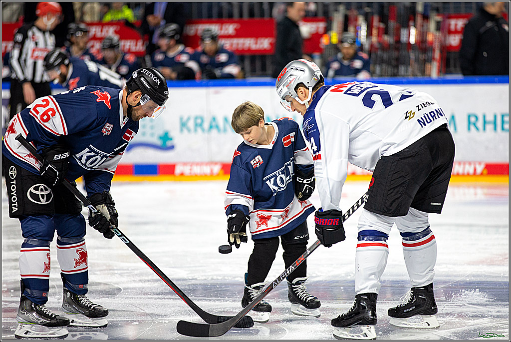 PENNY DEL; Koelner Haie- Nuernberger Ice Tigers; Koeln, 29.01.2023